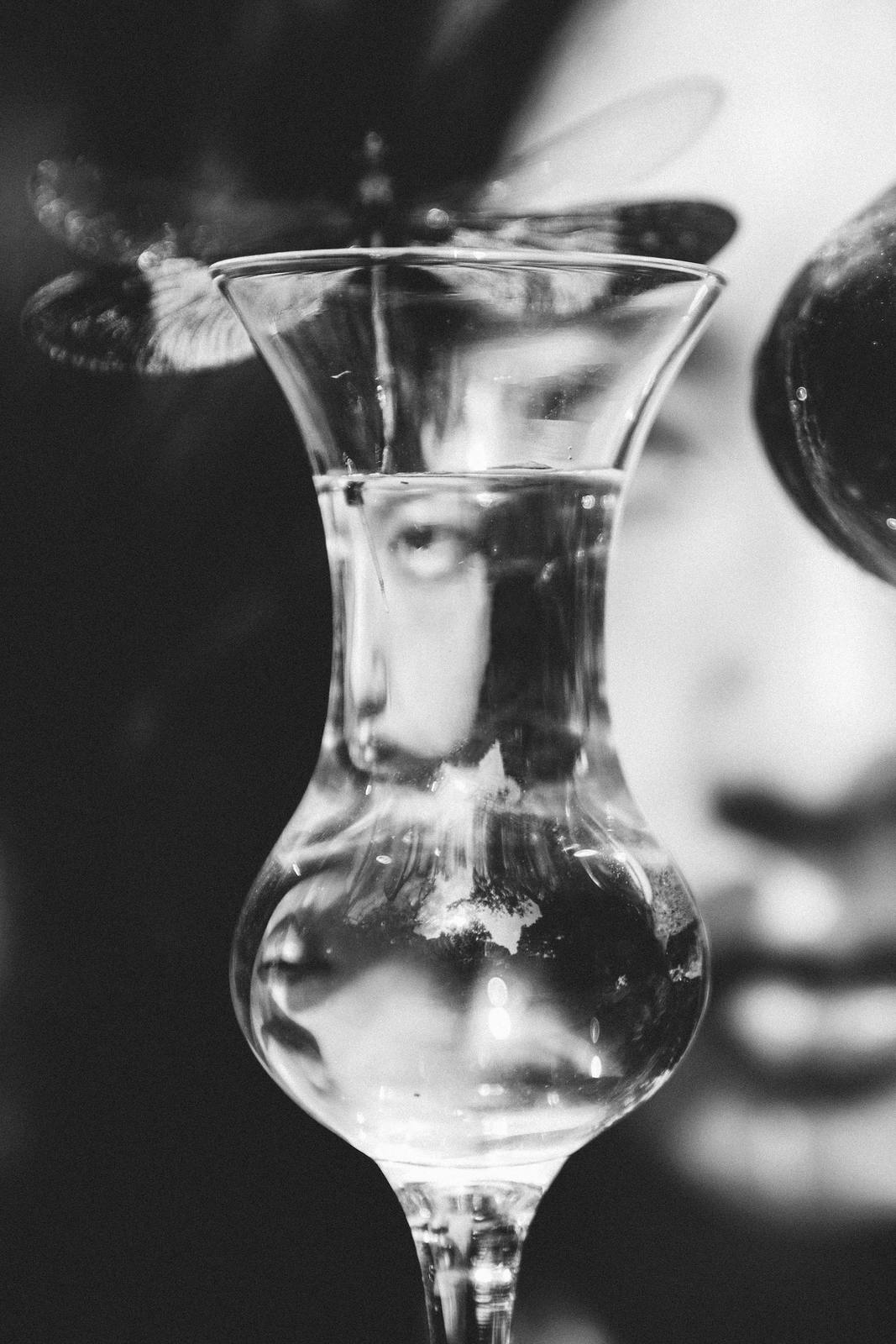 Black and white close photograph of a face seen through a glass vase, a dragonfly at the rim.